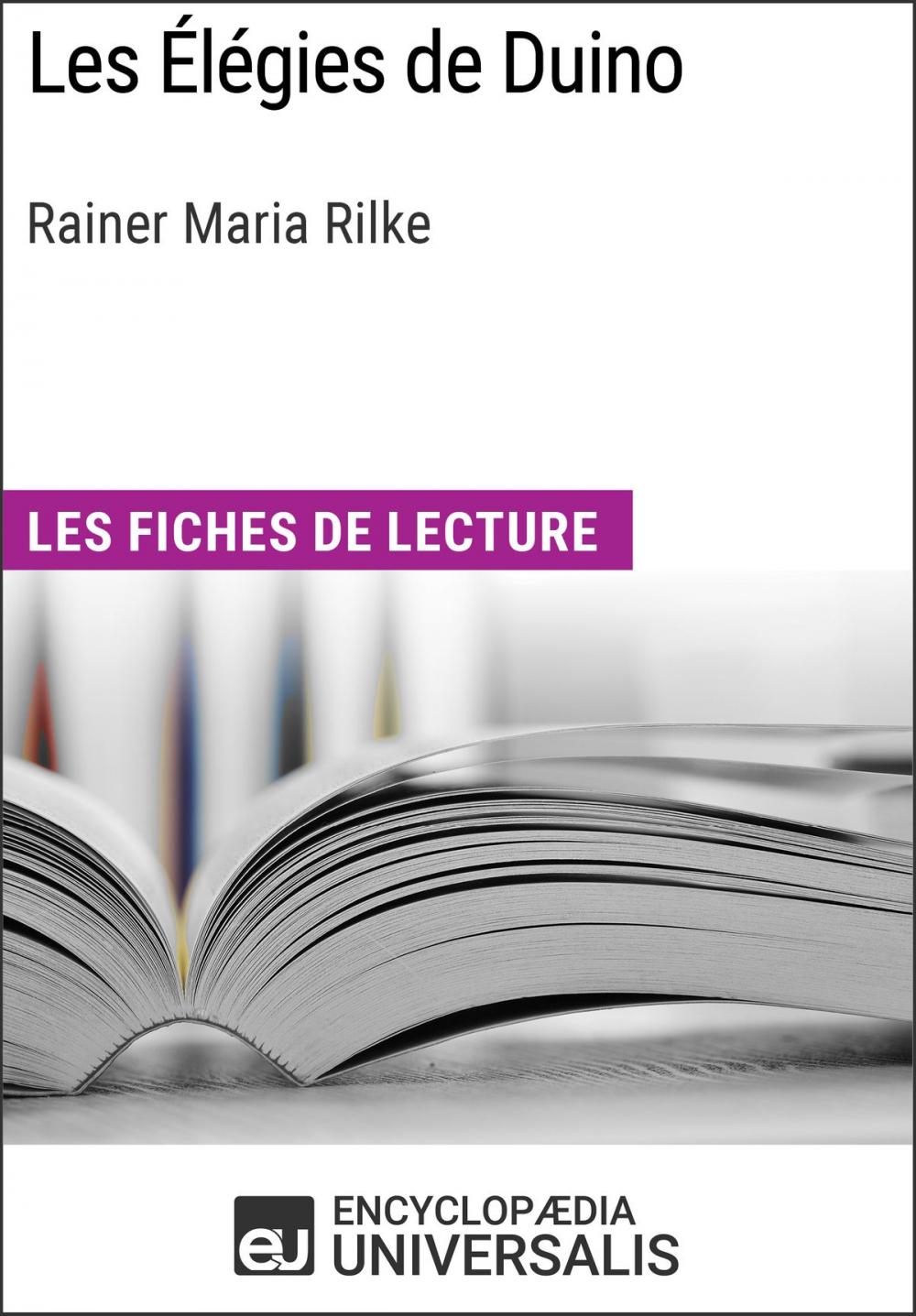 Big bigCover of Les Élégies de Duino de Rainer Maria Rilke