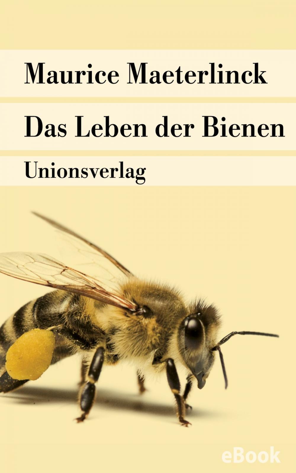 Big bigCover of Das Leben der Bienen