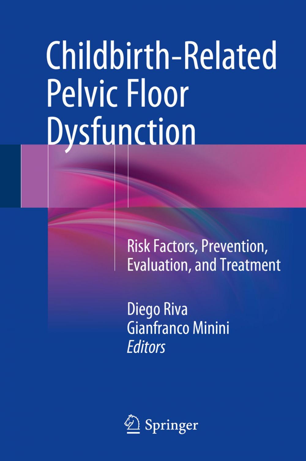 Big bigCover of Childbirth-Related Pelvic Floor Dysfunction
