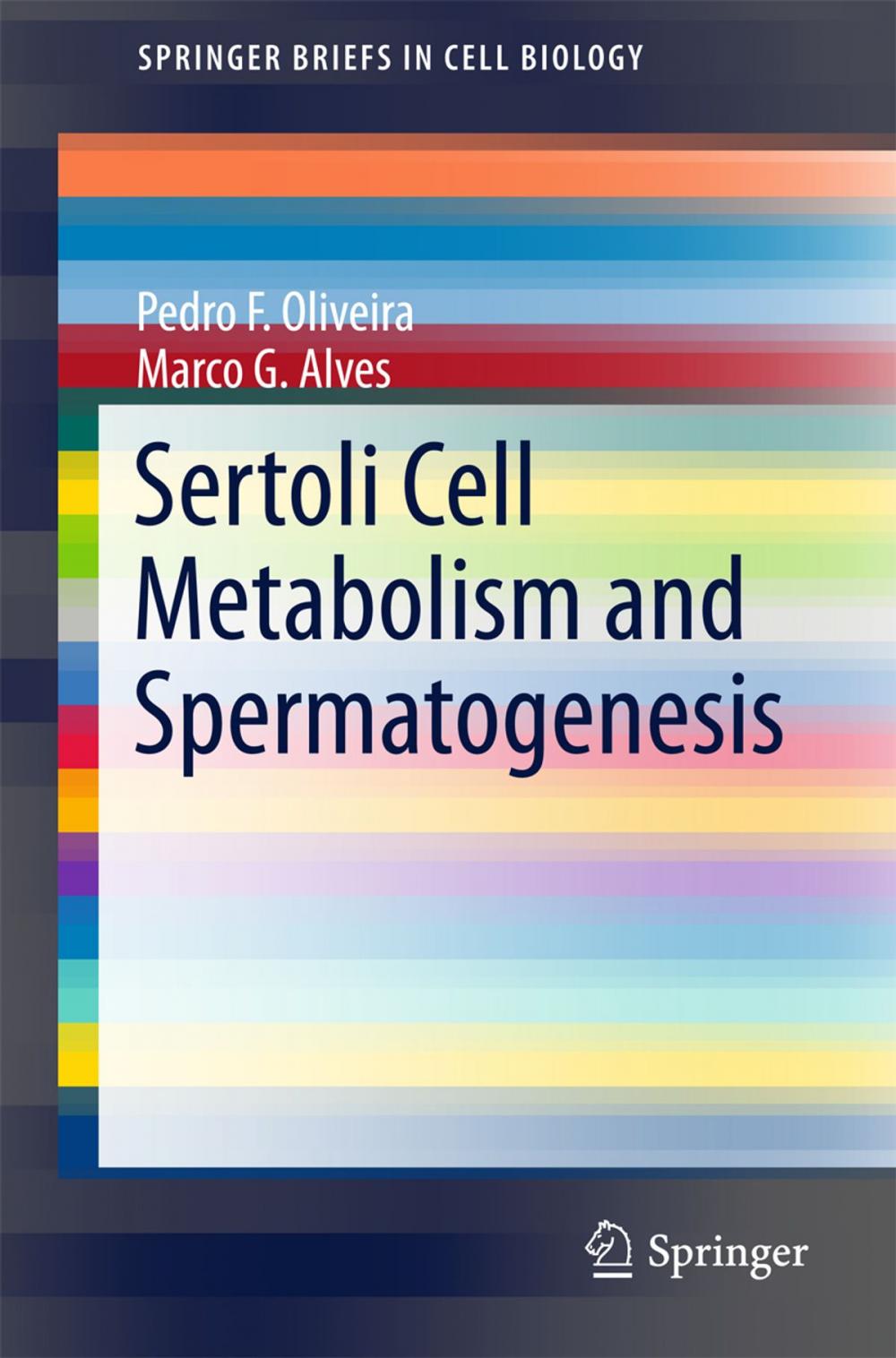 Big bigCover of Sertoli Cell Metabolism and Spermatogenesis