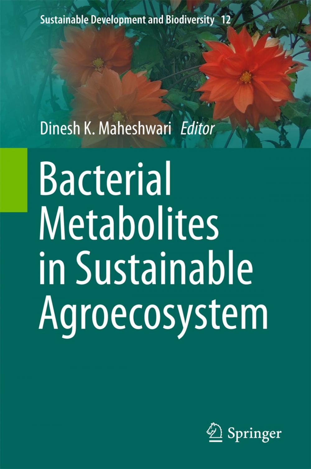 Big bigCover of Bacterial Metabolites in Sustainable Agroecosystem