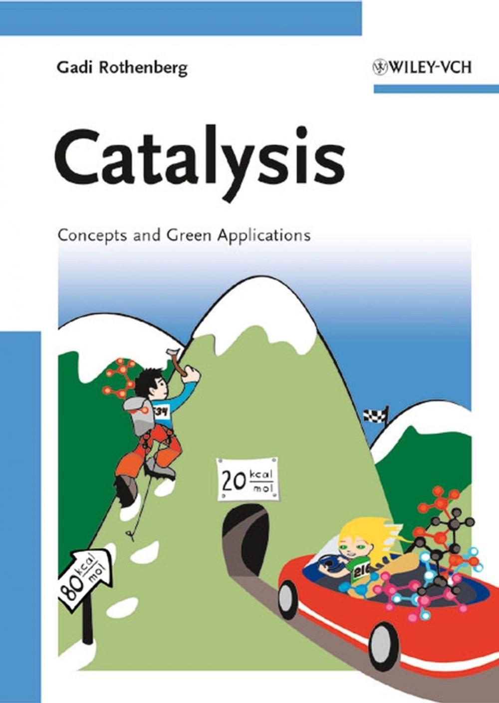 Big bigCover of Catalysis