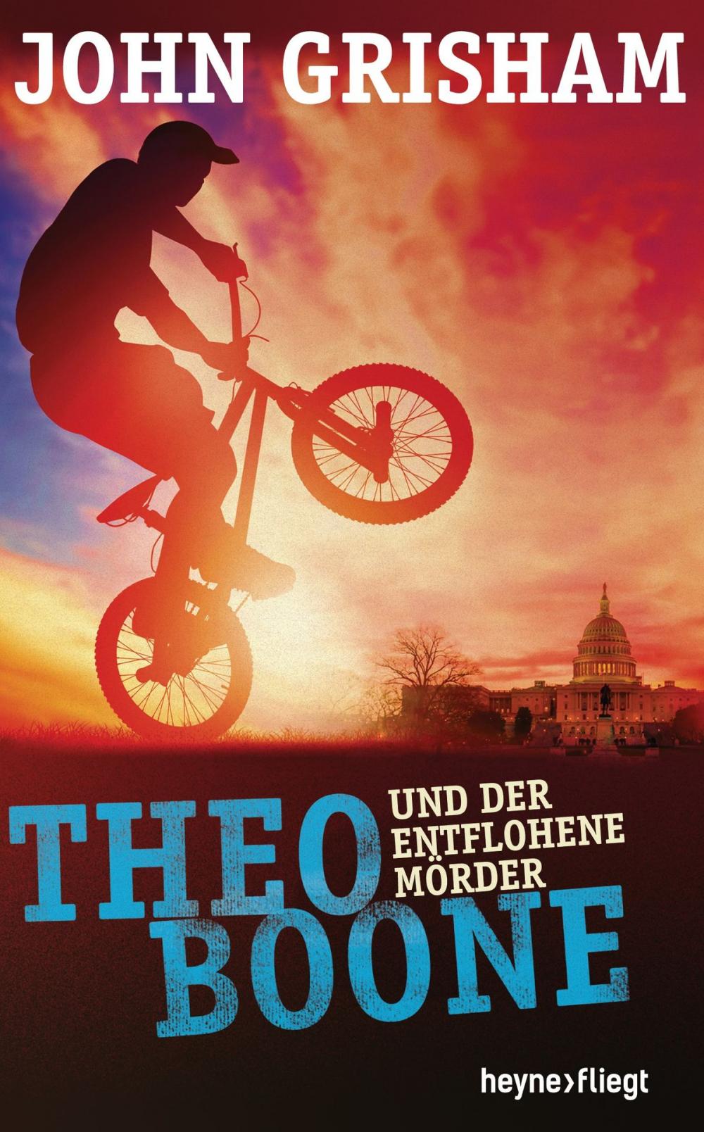 Big bigCover of Theo Boone und der entflohene Mörder