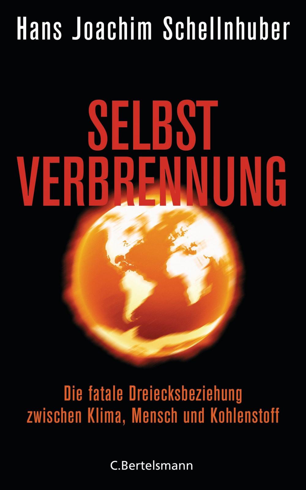 Big bigCover of Selbstverbrennung