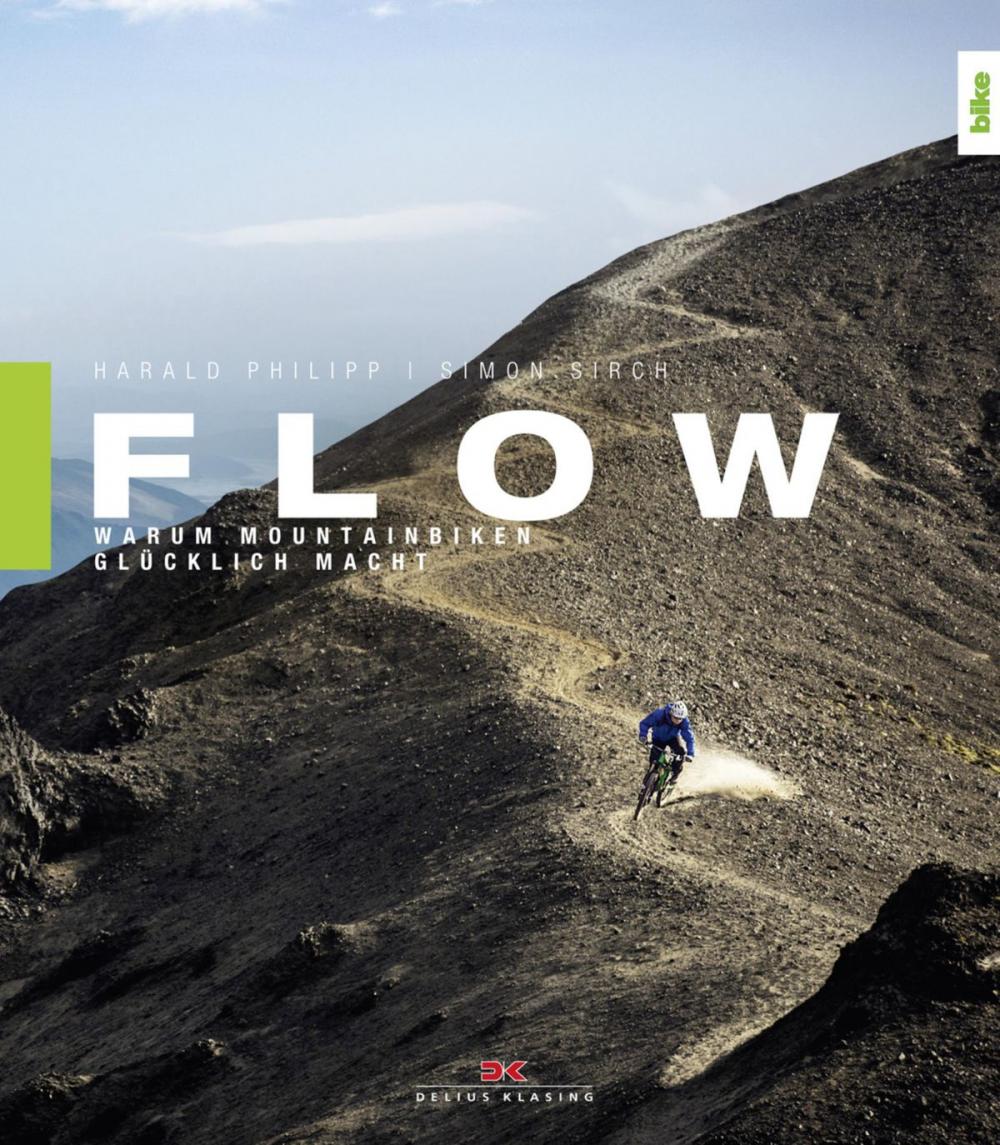 Big bigCover of Flow