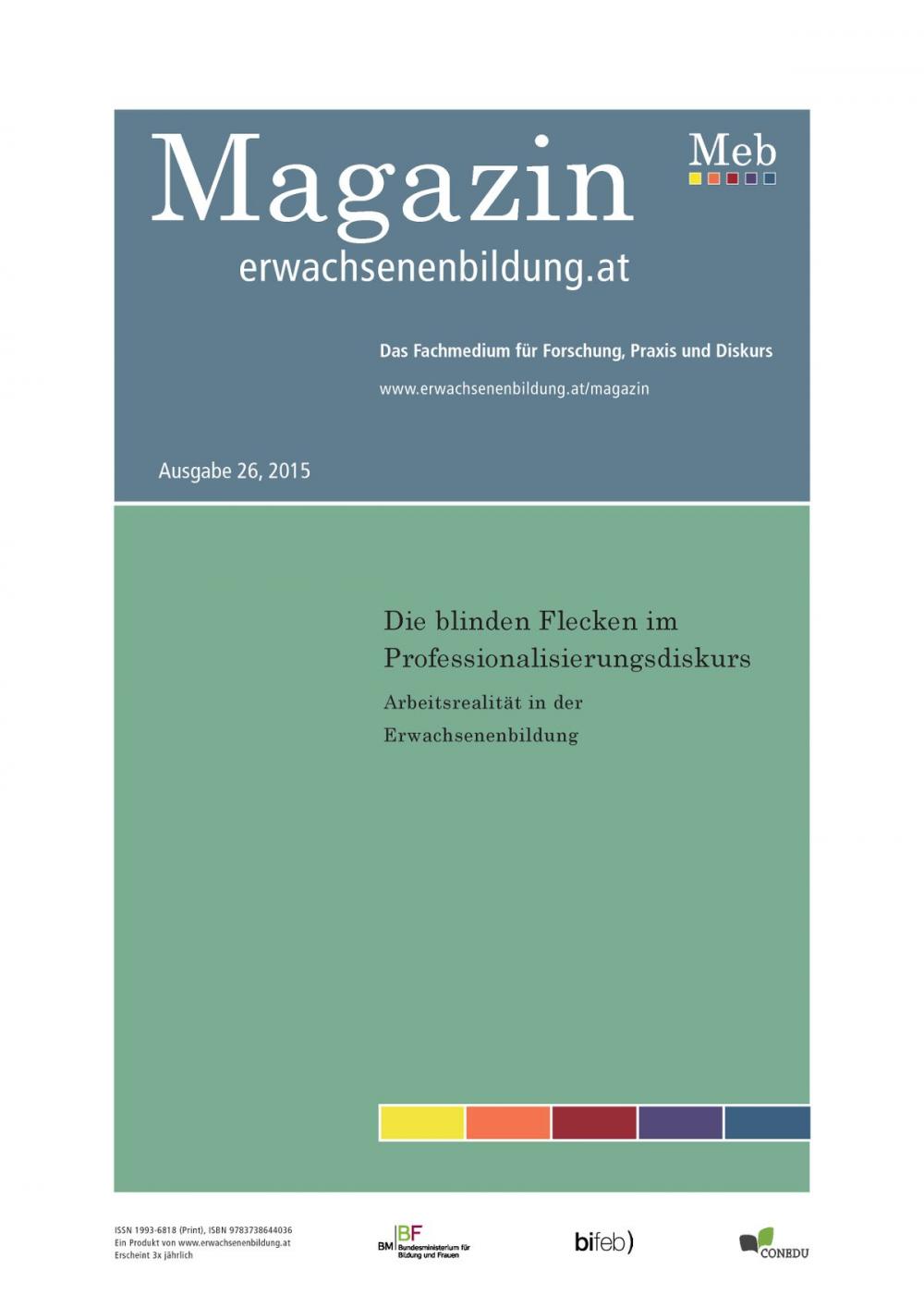 Big bigCover of Die blinden Flecken im Professionalisierungsdiskurs. Arbeitsrealität in der Erwachsenenbildung