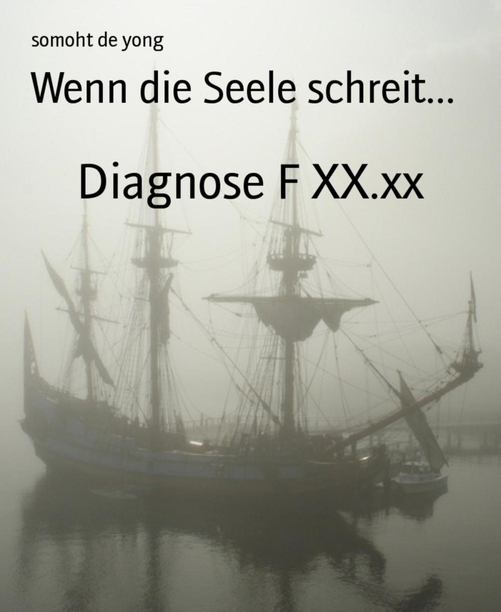 Big bigCover of Wenn die Seele schreit...