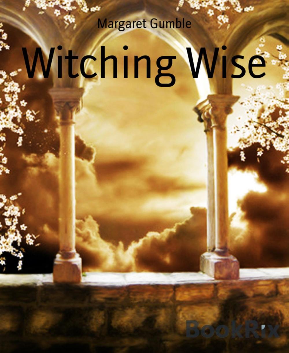 Big bigCover of Witching Wise