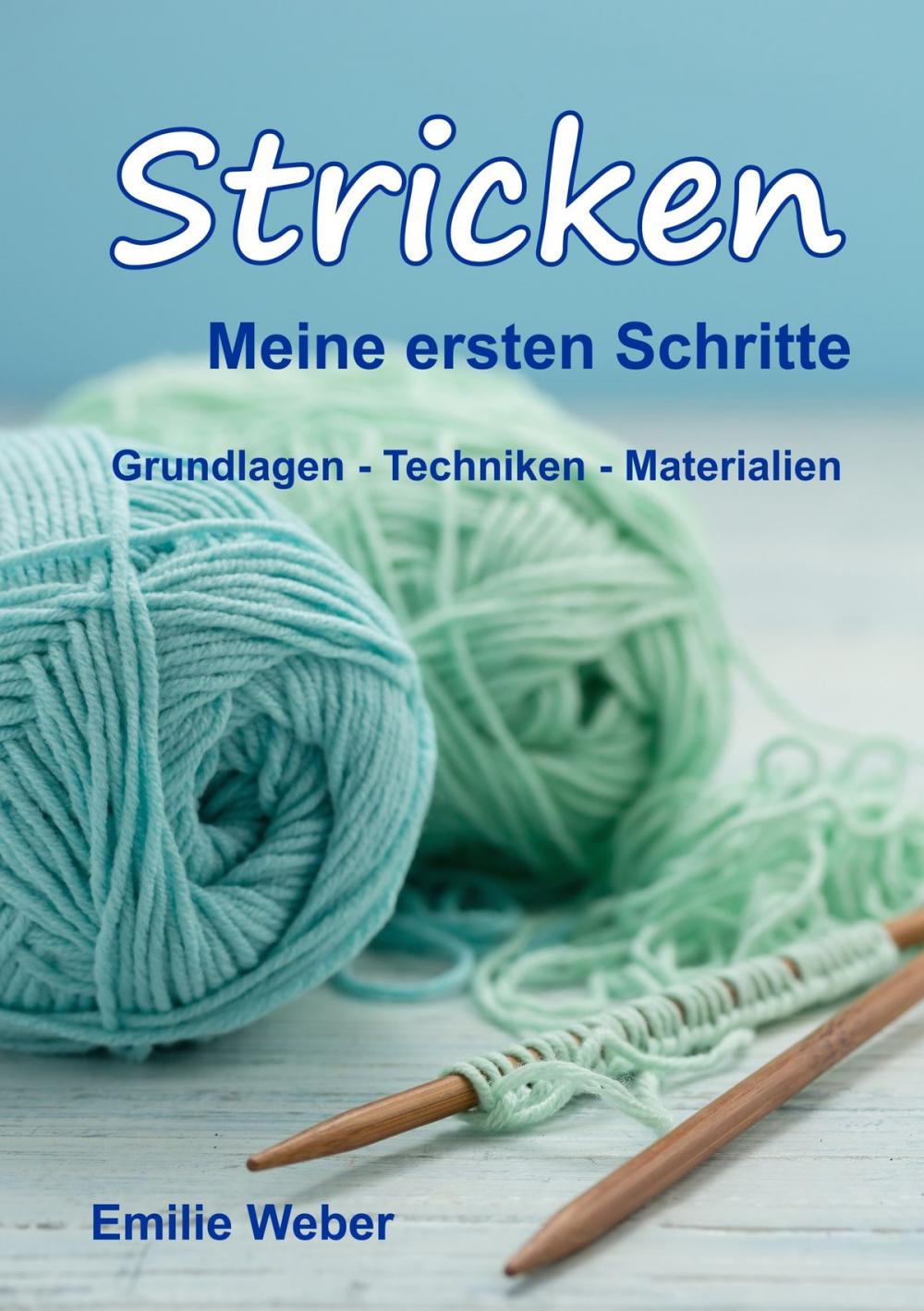 Big bigCover of Stricken meine ersten Schritte