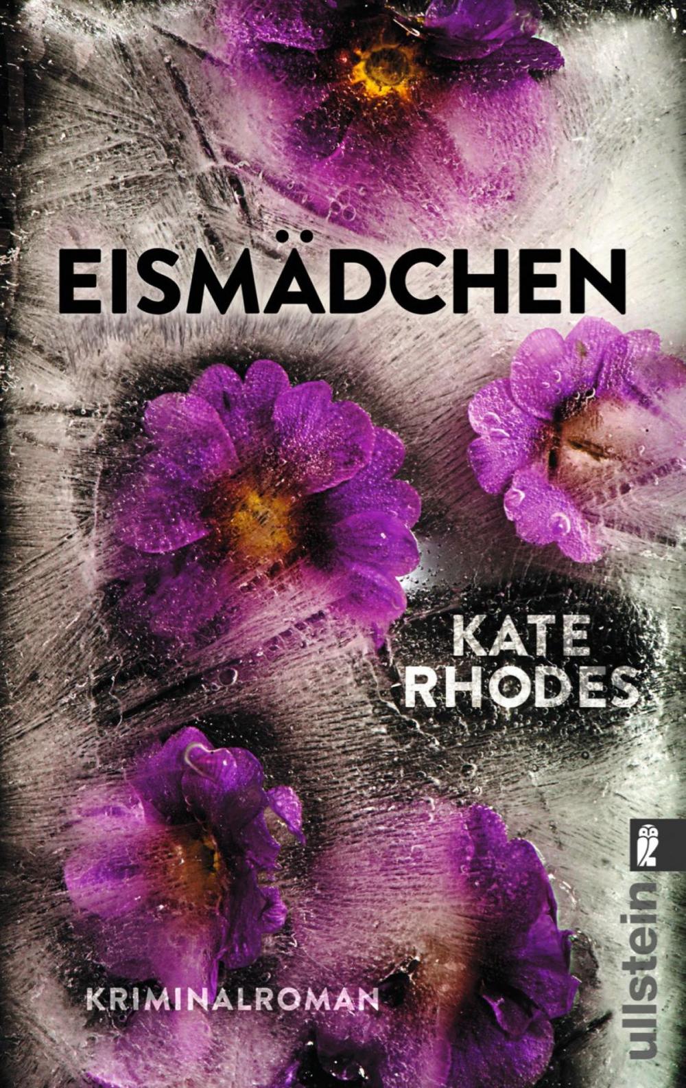 Big bigCover of Eismädchen