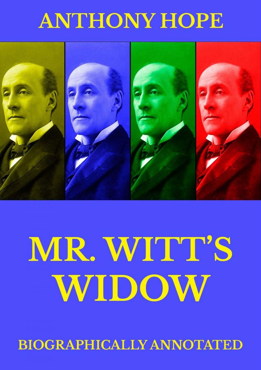 Big bigCover of Mr Witt's Widow