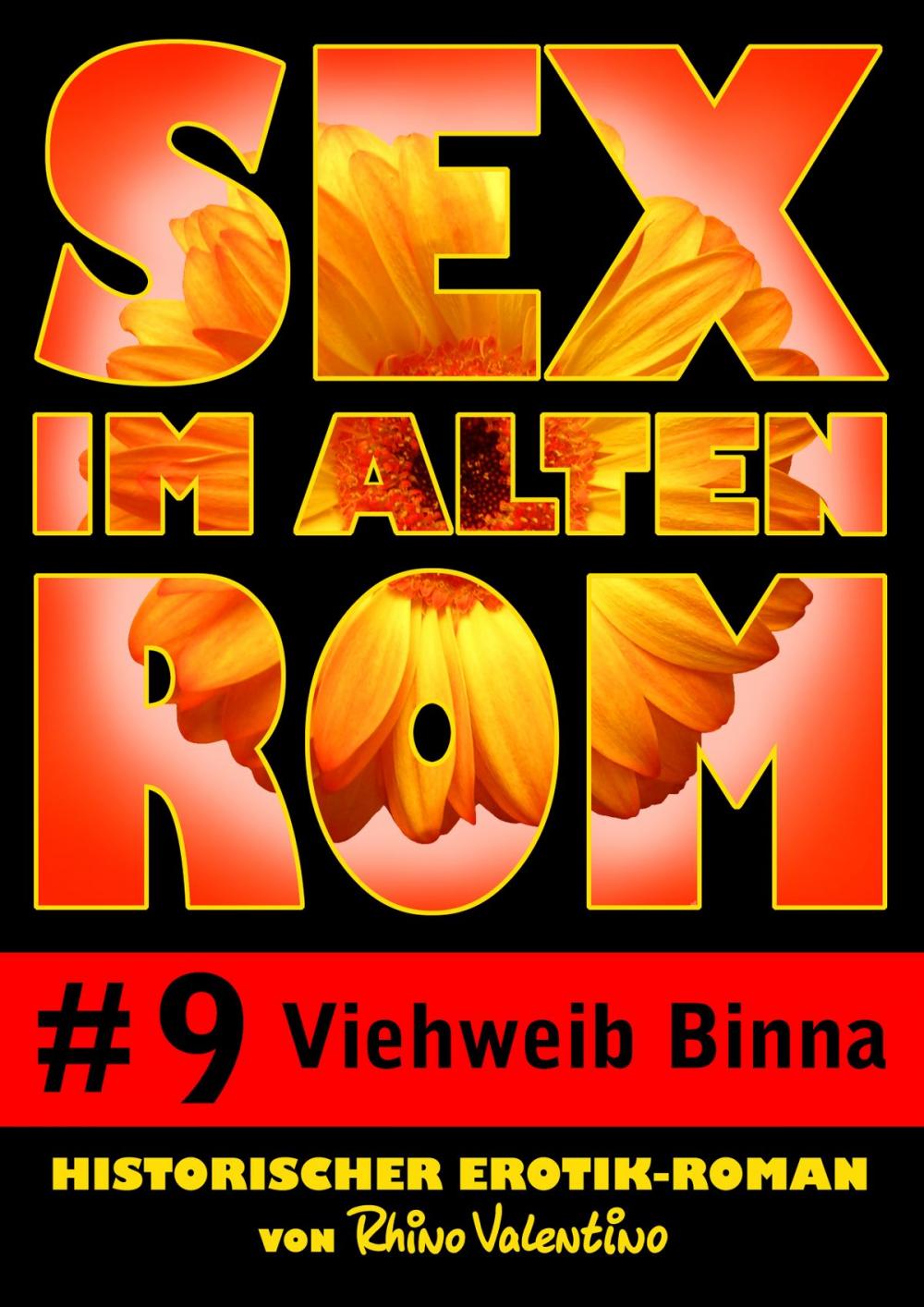 Big bigCover of Sex im alten Rom 9 - Viehweib Binna