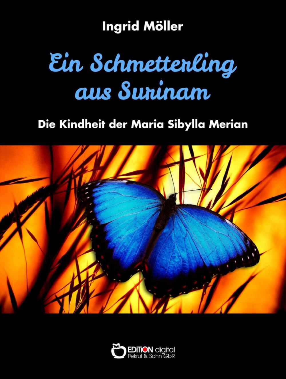 Big bigCover of Ein Schmetterling aus Surinam