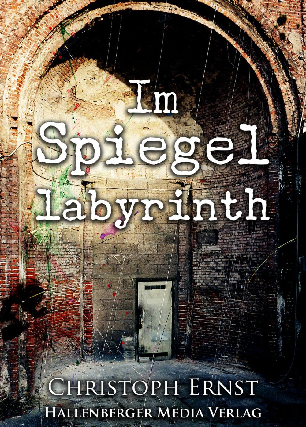 Big bigCover of Im Spiegellabyrinth