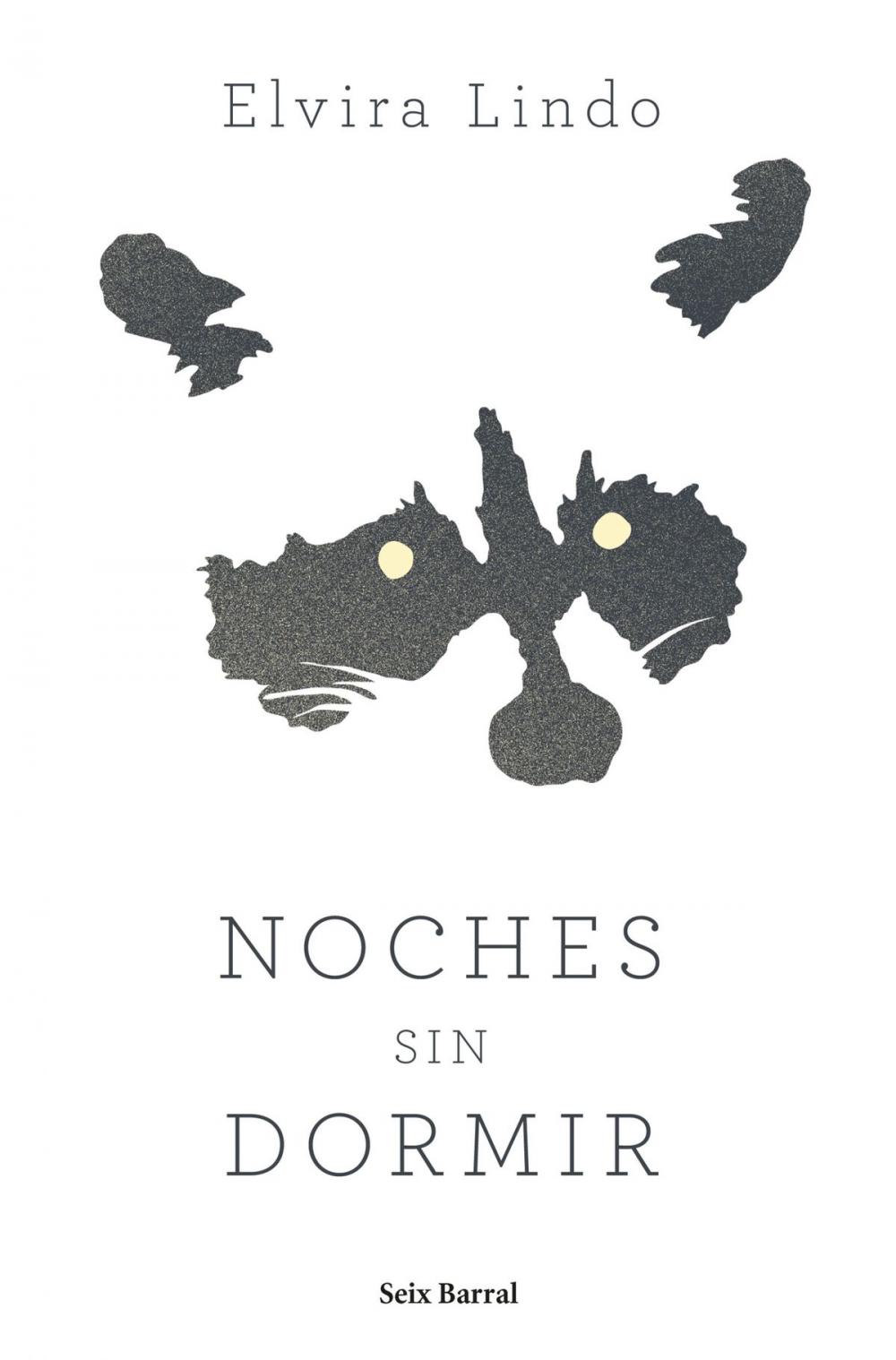 Big bigCover of Noches sin dormir