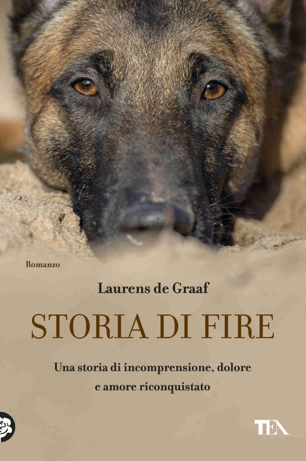 Big bigCover of Storia di Fire