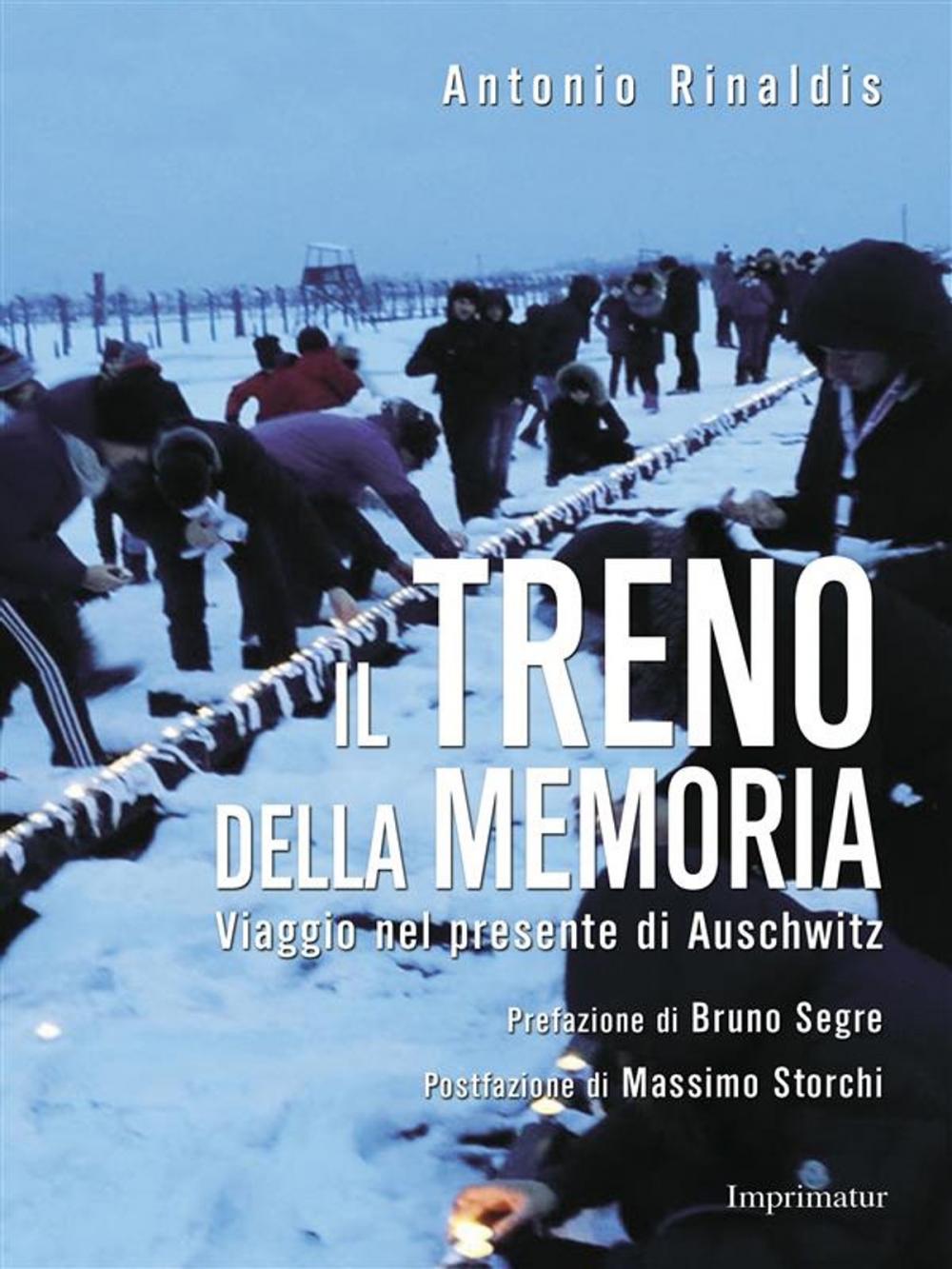 Big bigCover of Il treno della memoria