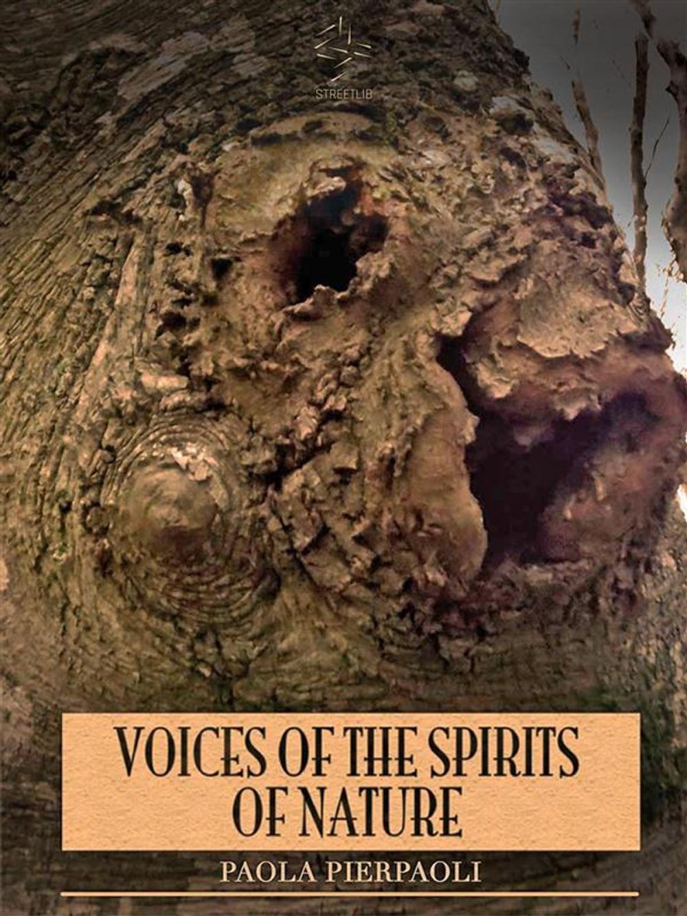 Big bigCover of Voices of the Spirits of Nature