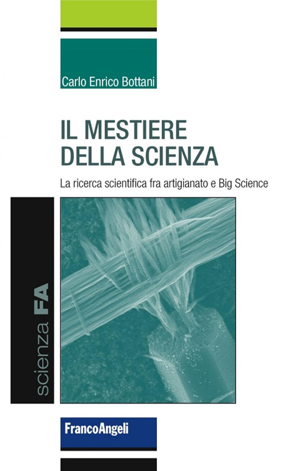 Big bigCover of Il mestiere della scienza. La ricerca scientifica fra artigianato e Big Science