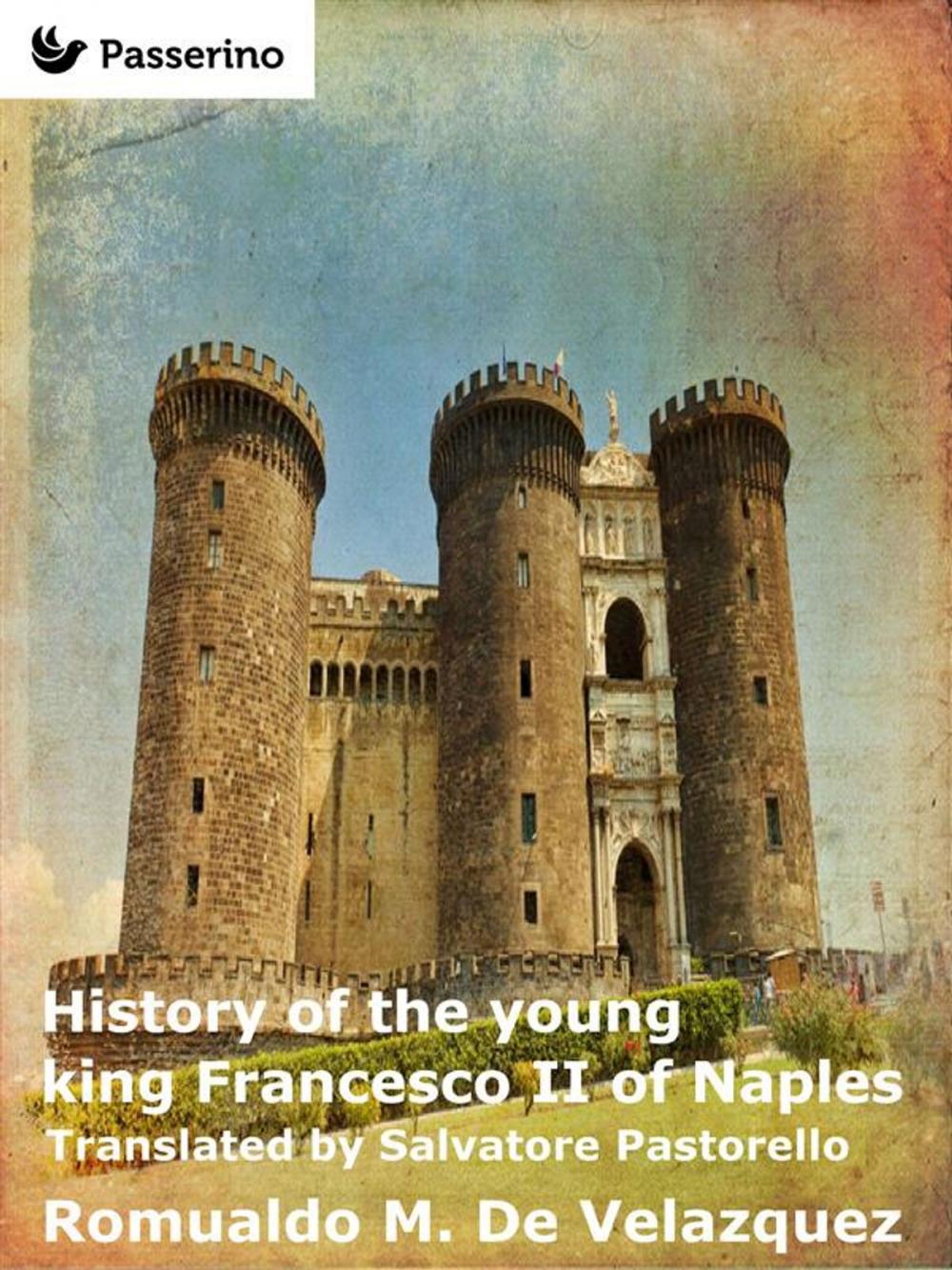 Big bigCover of History of the young king Francesco II of Naples