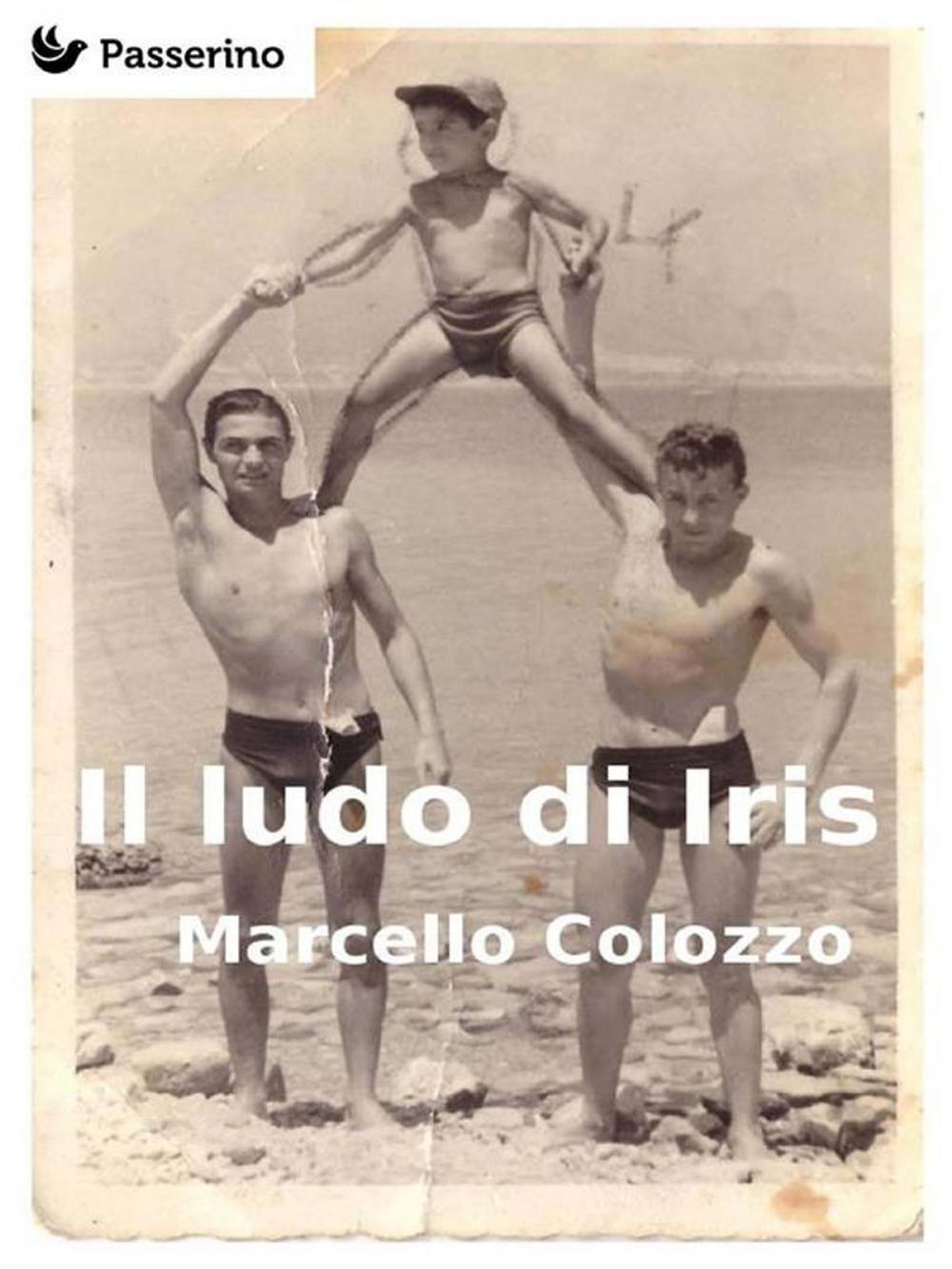 Big bigCover of Il ludo di Iris