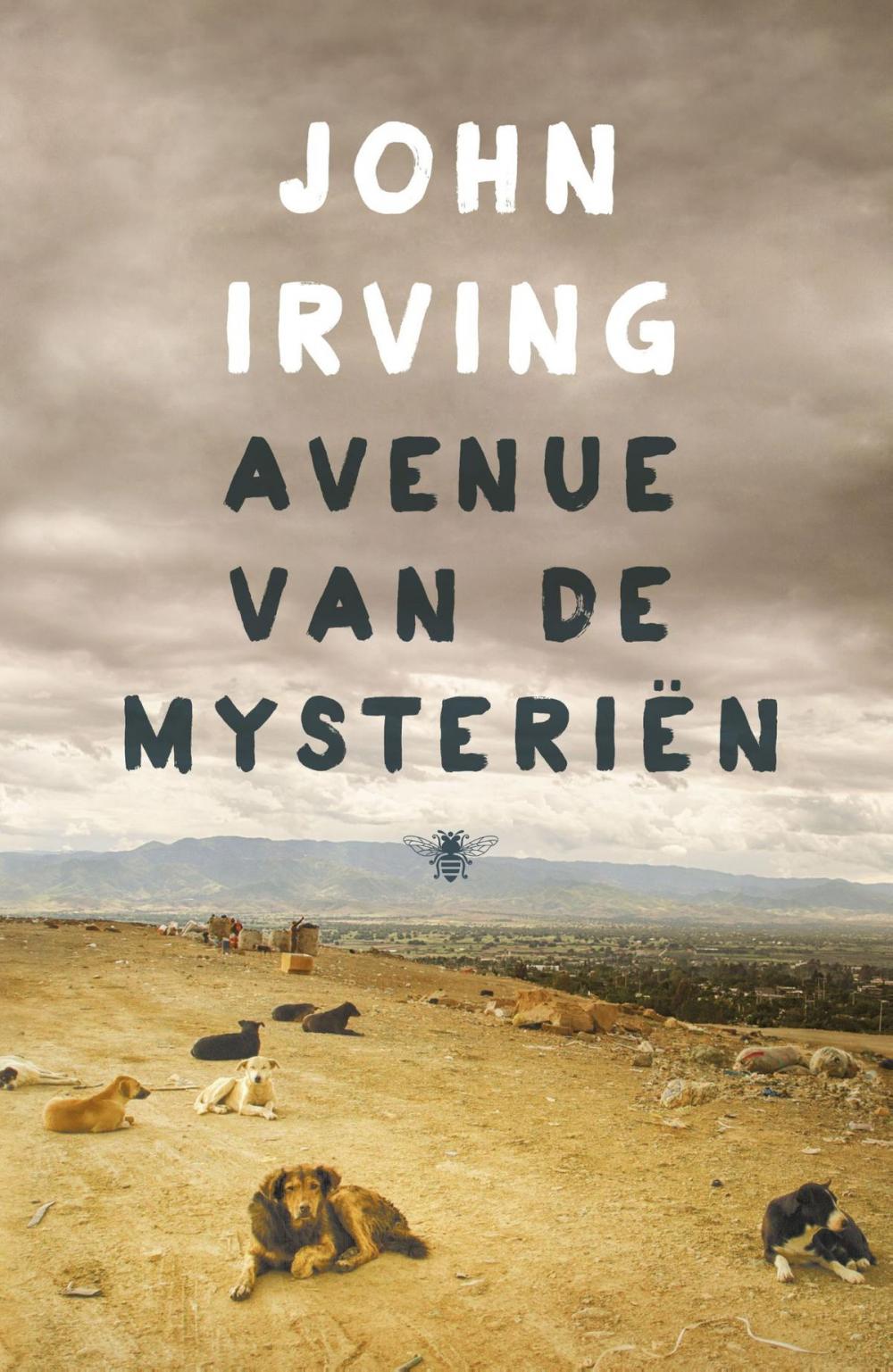 Big bigCover of Avenue van de mysteriën