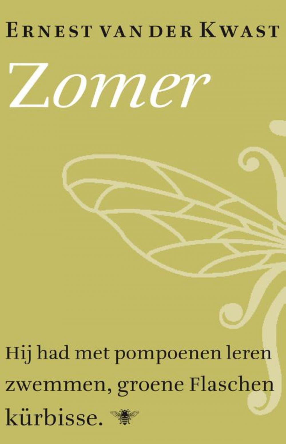 Big bigCover of Zomer