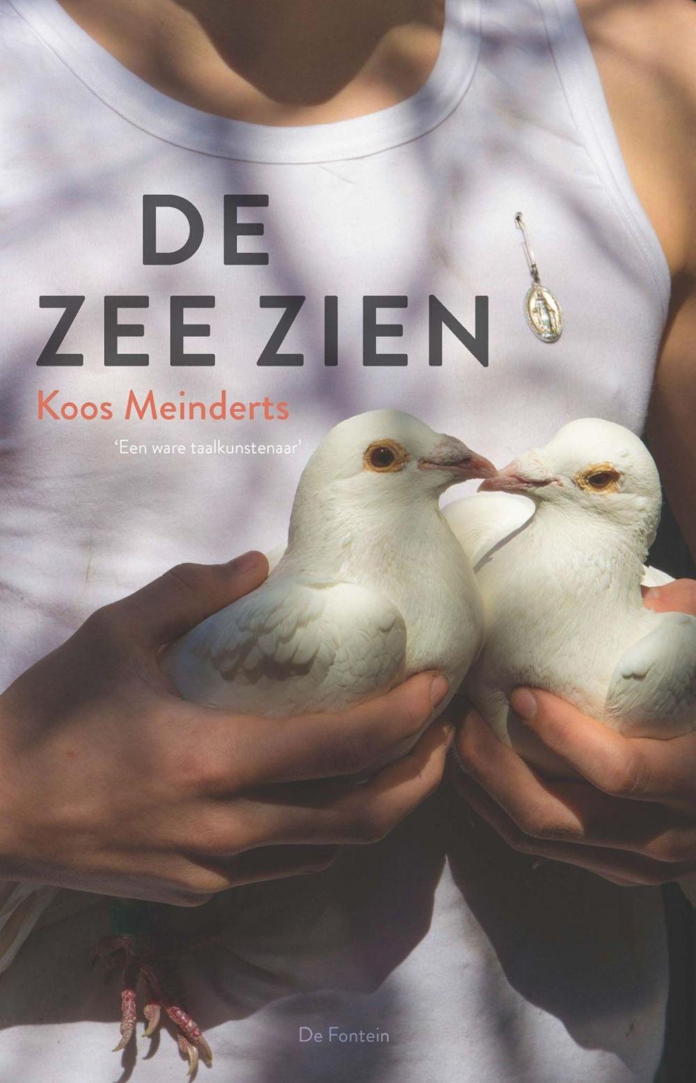 Big bigCover of De zee zien