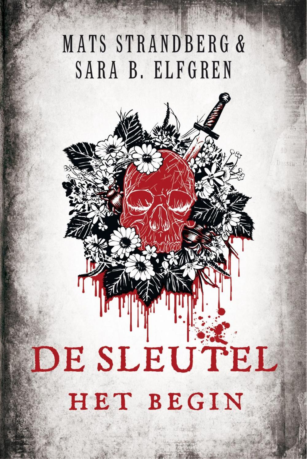 Big bigCover of De sleutel - Het begin