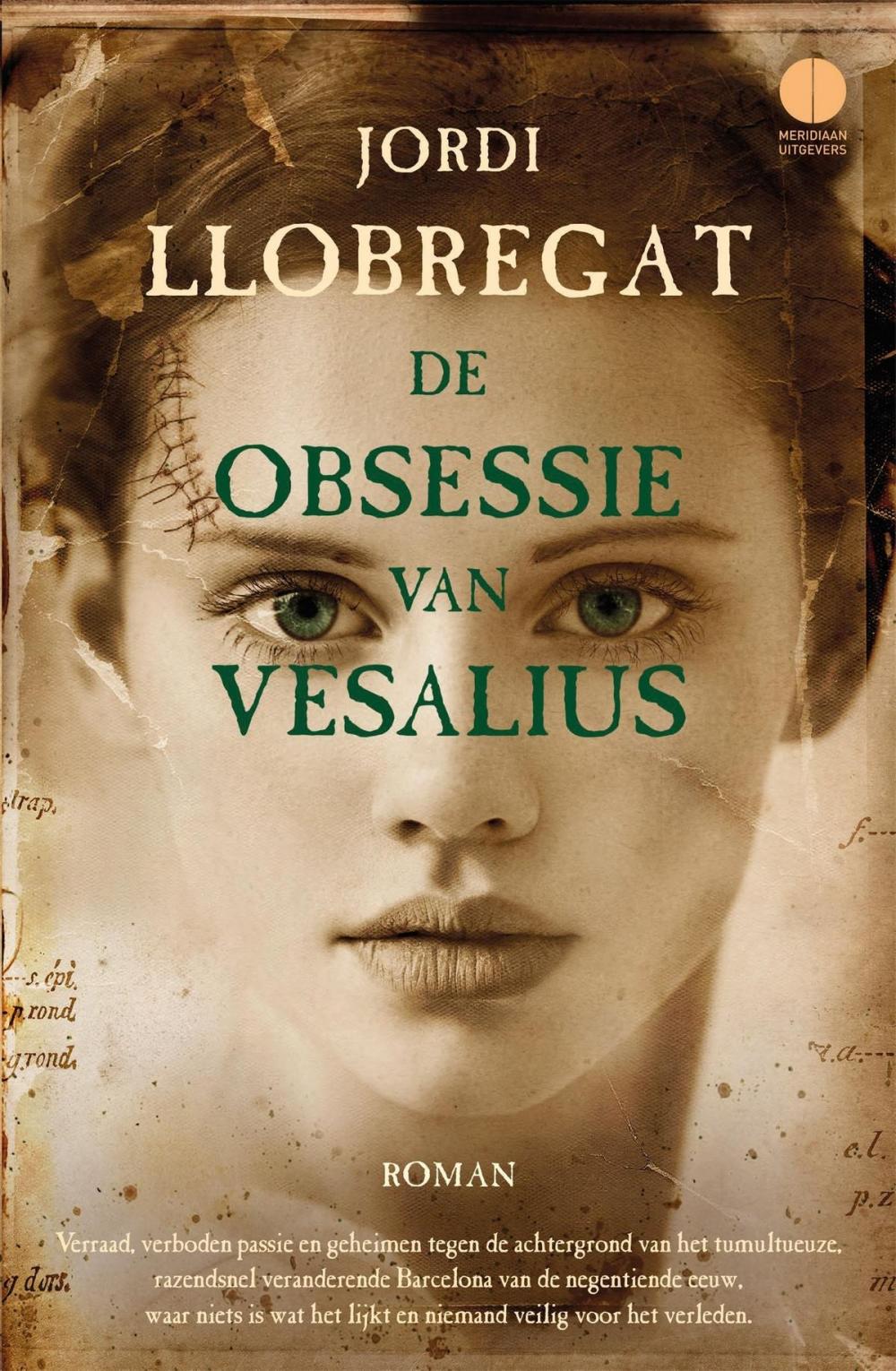 Big bigCover of Het geheim van Vesalius