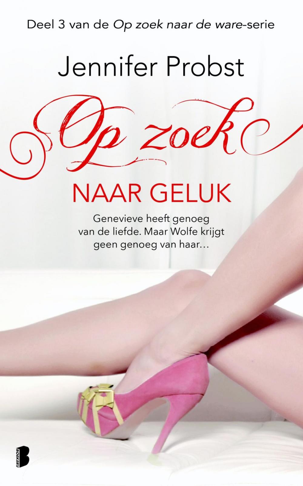 Big bigCover of Op zoek naar geluk