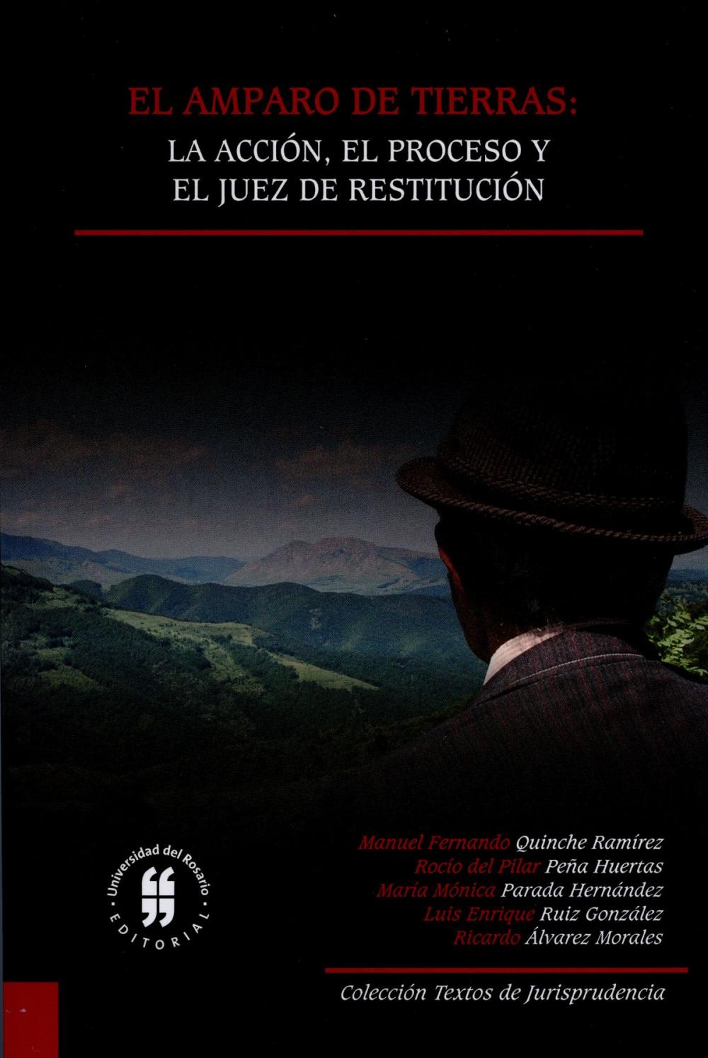 Big bigCover of El amparo de tierras: la acción, el proceso y el juez de restitución