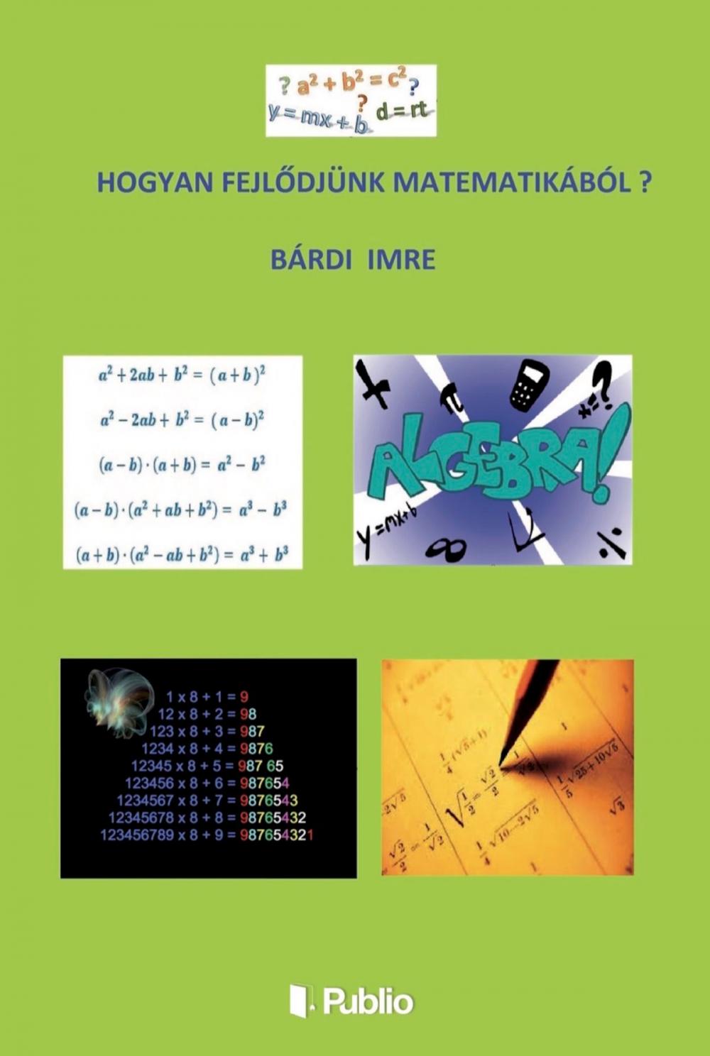 Big bigCover of Hogyan fejlődjünk matematikából ?