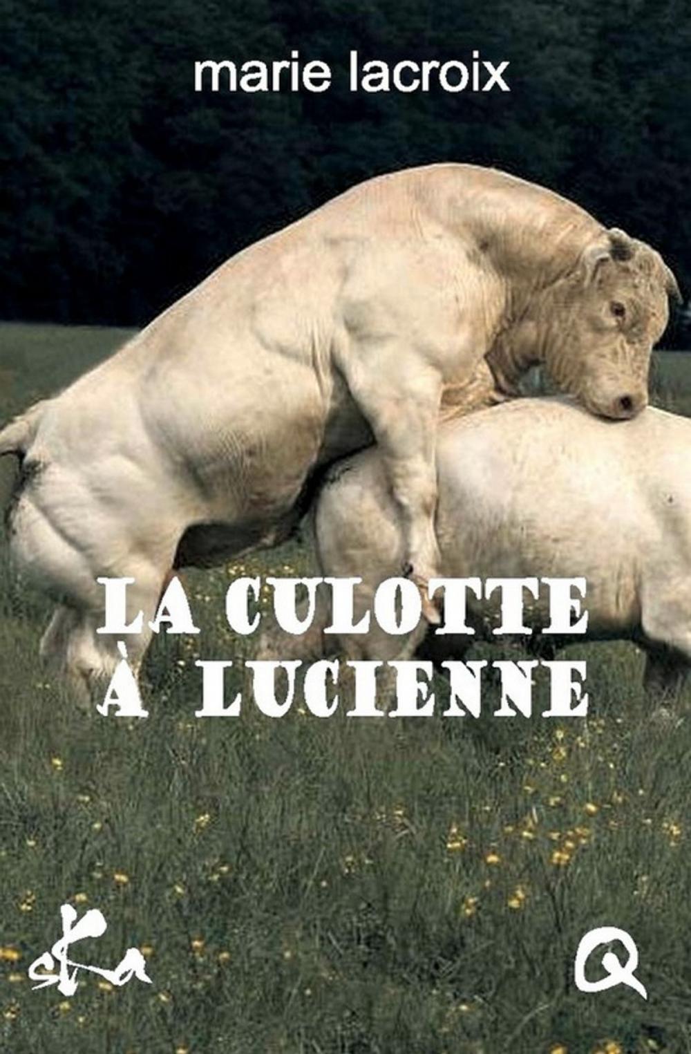 Big bigCover of La culotte à Lucienne