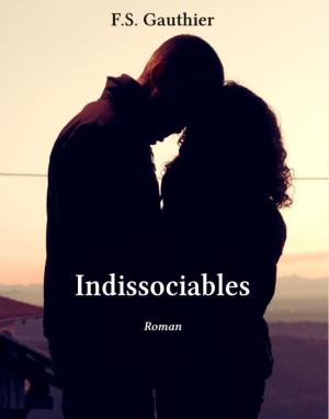 Cover of the book Indissociables by Vincent Mandevill