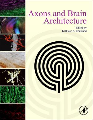 Cover of the book Axons and Brain Architecture by M. A. Hayat