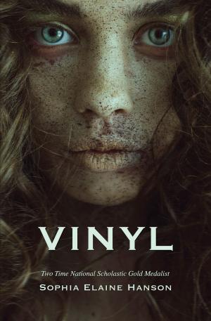 Cover of Vinyl: Book One of the Vinyl Trilogy