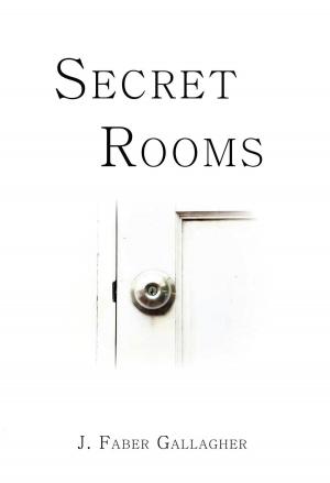 Cover of the book Secret Rooms by Cassandra Carter