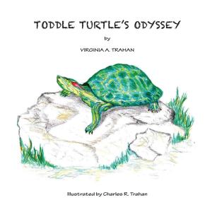 Cover of the book Toddle Turtle's Odyssey by D. V. De Palo