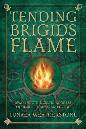 Cover of the book Tending Brigid's Flame by Regina Rose Murphy