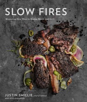 Cover of the book Slow Fires by Robert Anderson