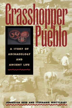 Cover of the book Grasshopper Pueblo by Stuart A. Day