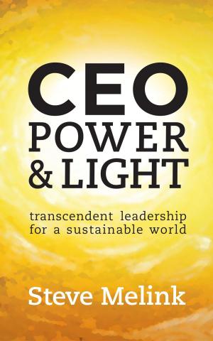 Cover of CEO Power & Light