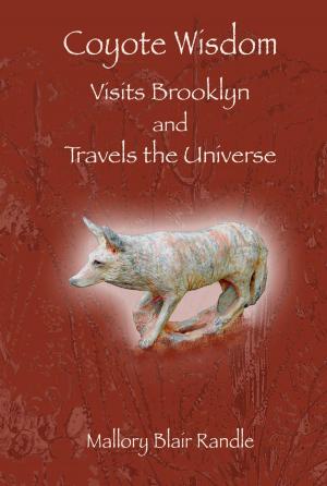 Cover of the book Coyote Wisdom Visits Brooklyn and Travels the Universe by Rote Writer