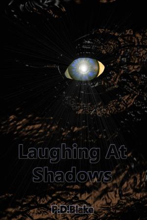 Cover of Laughing at Shadows