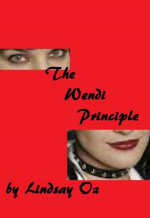 bigCover of the book The Wendi Principle by 