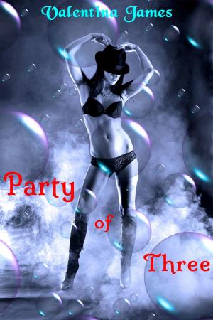 Cover of the book Party of Three; A first time menage story by J.A. Jaken