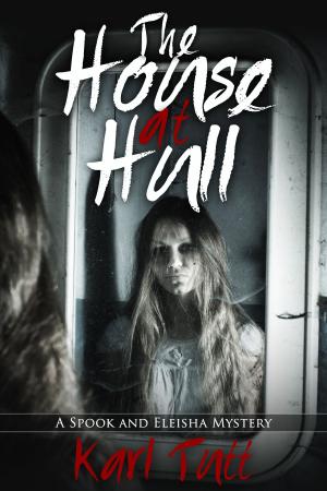 Cover of the book The House at Hull by Marsha R. West