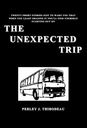 Book cover of The Unexpected Trip