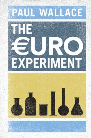Cover of the book The Euro Experiment by Nicholas Boyle, Liz Disley